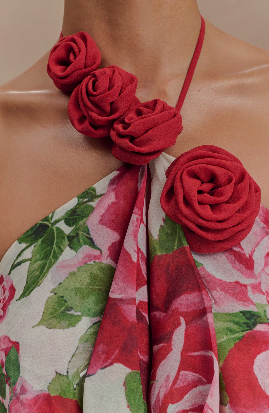 Paris Rose Gown Maxi Dress