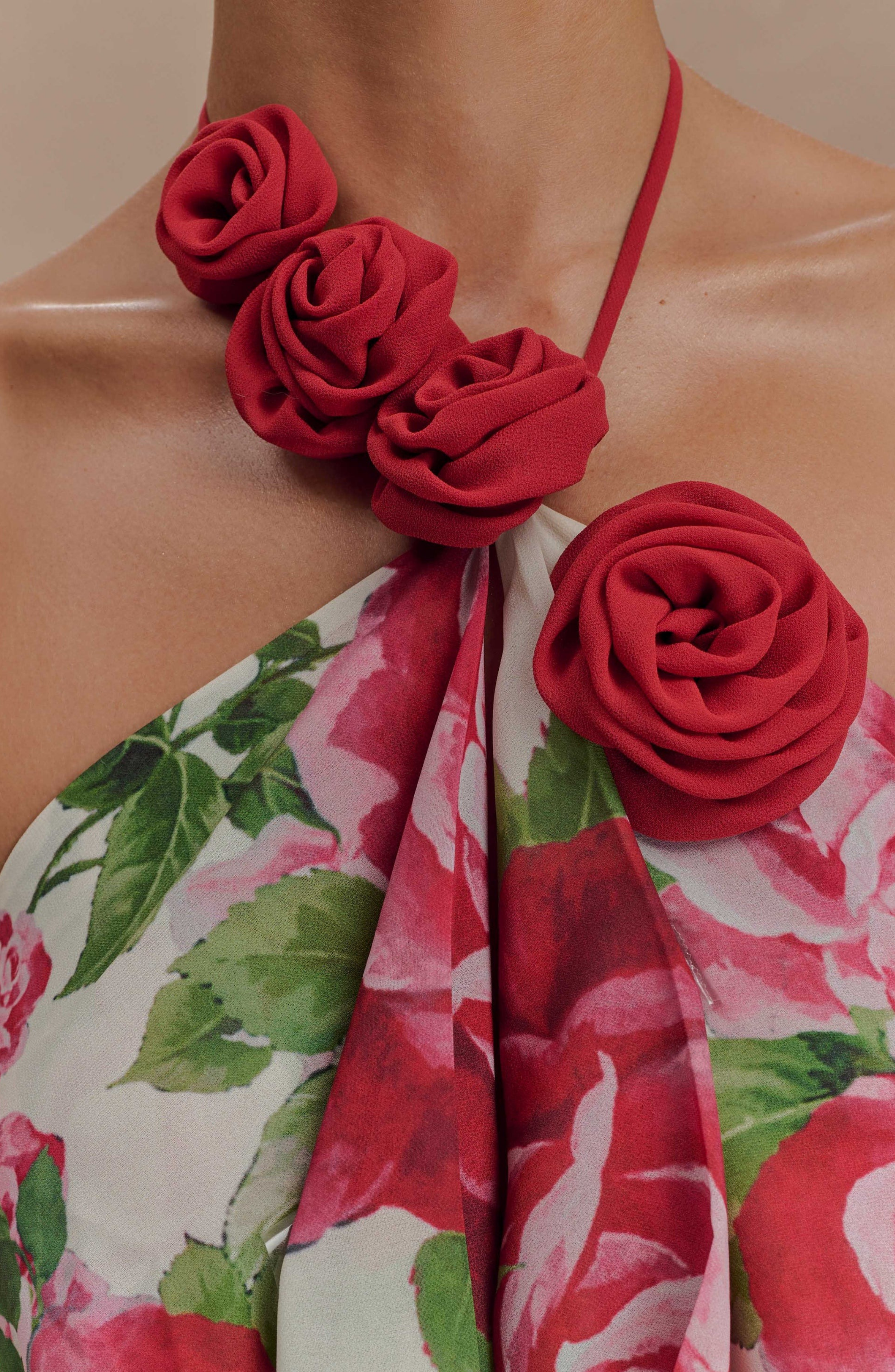 Paris Rose Gown Maxi Dress