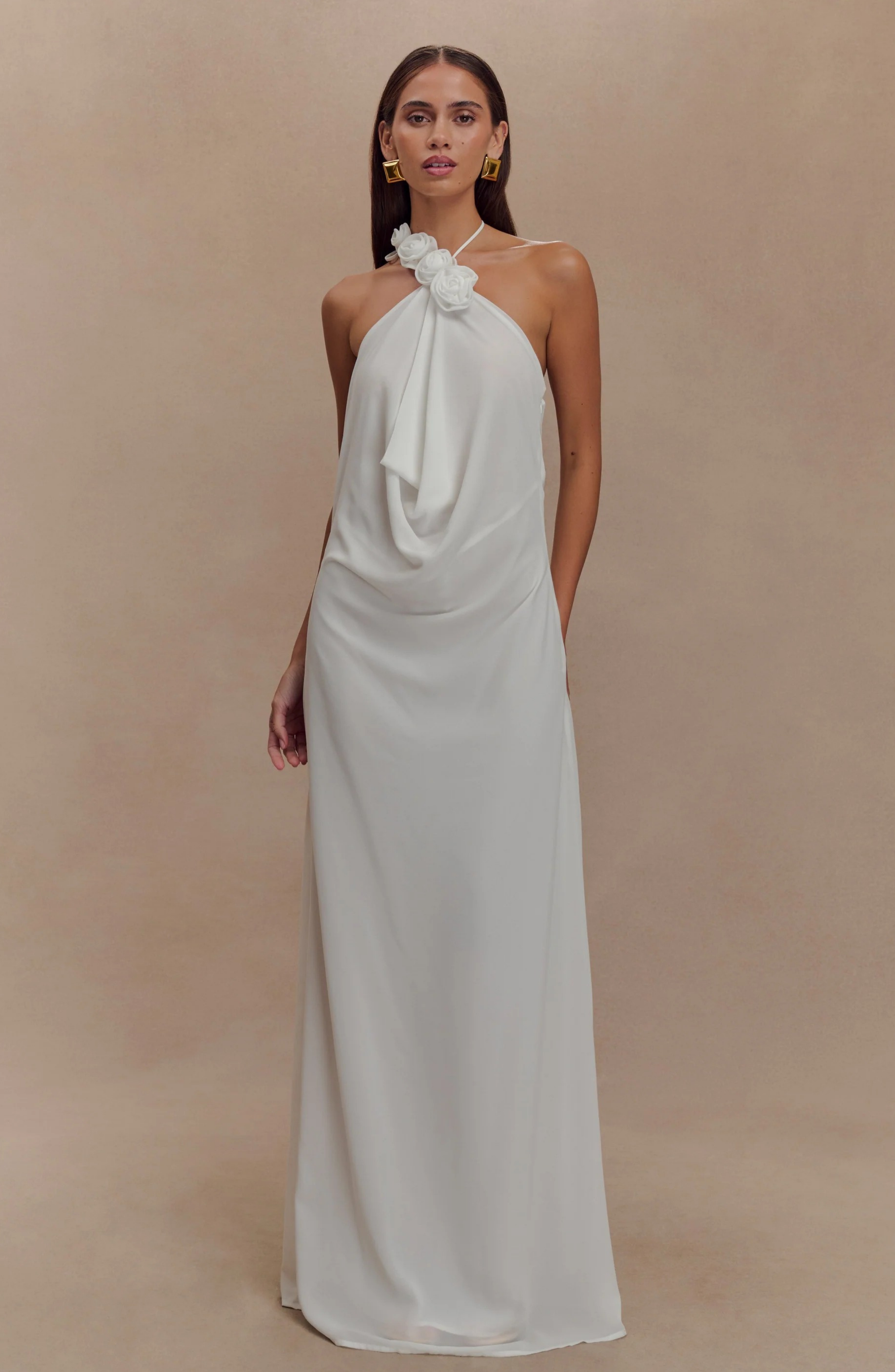 Paris Rose Gown Maxi Dress