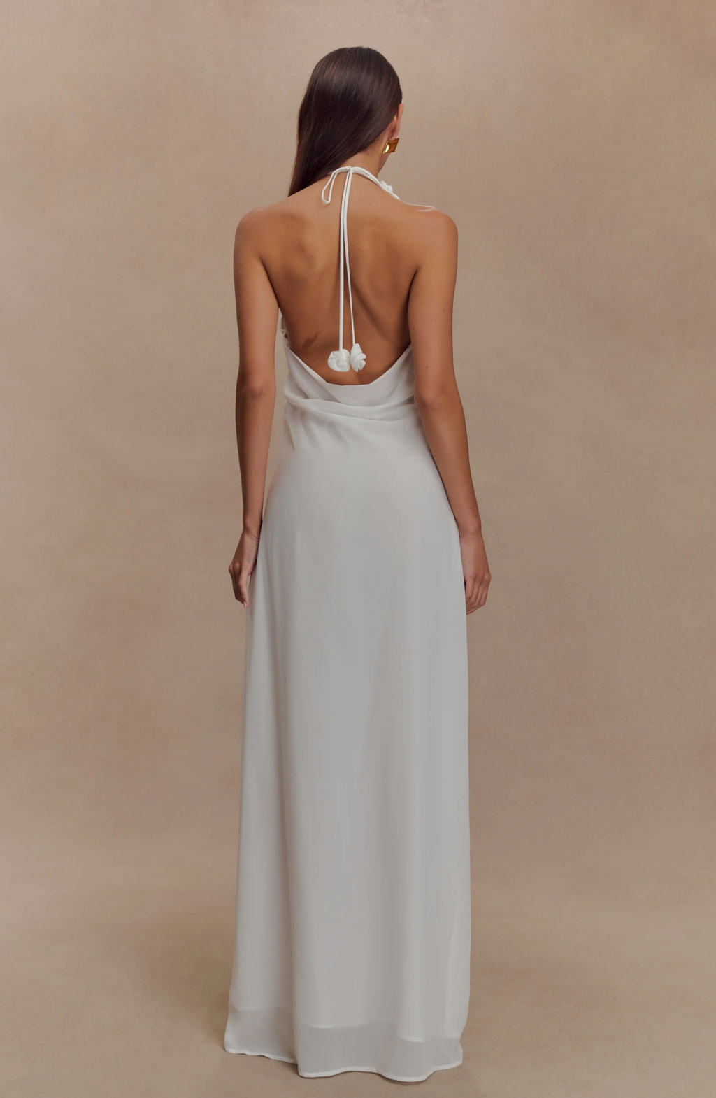 Paris Rose Gown Maxi Dress