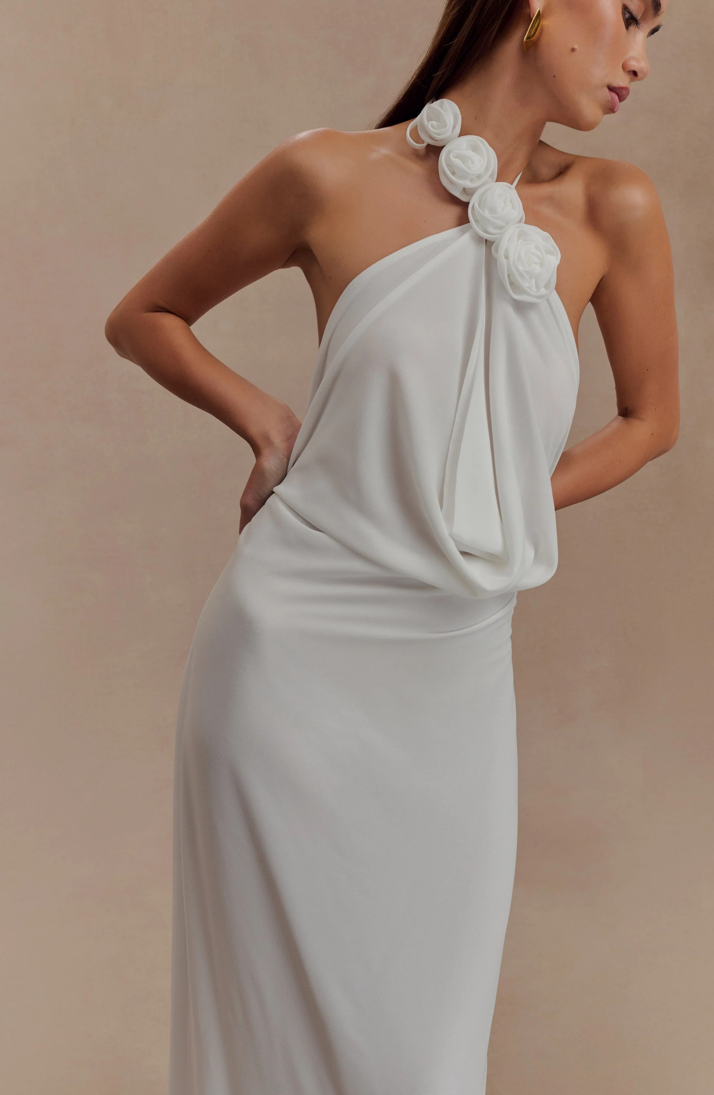 Paris Rose Gown Maxi Dress
