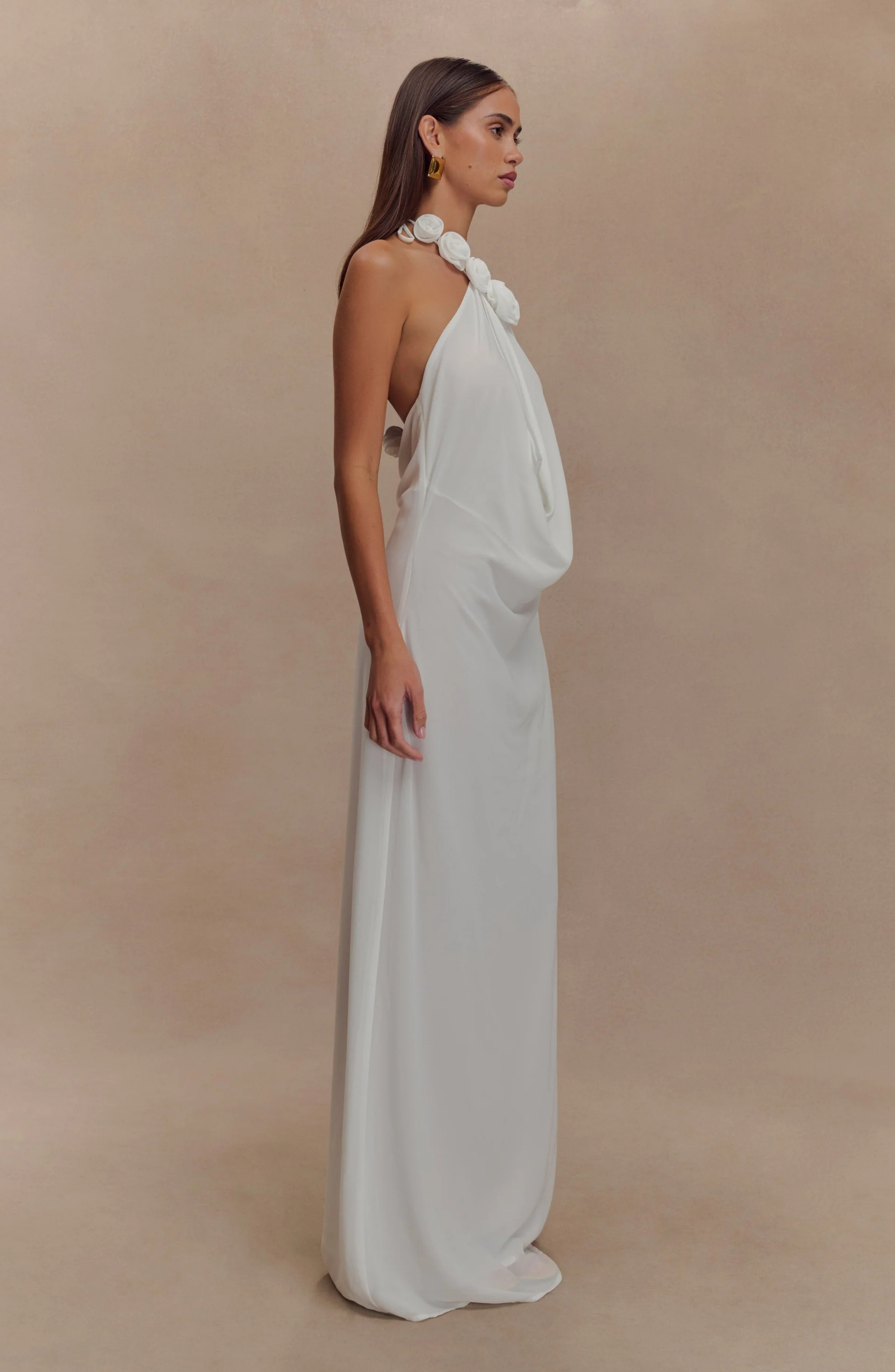 Paris Rose Gown Maxi Dress