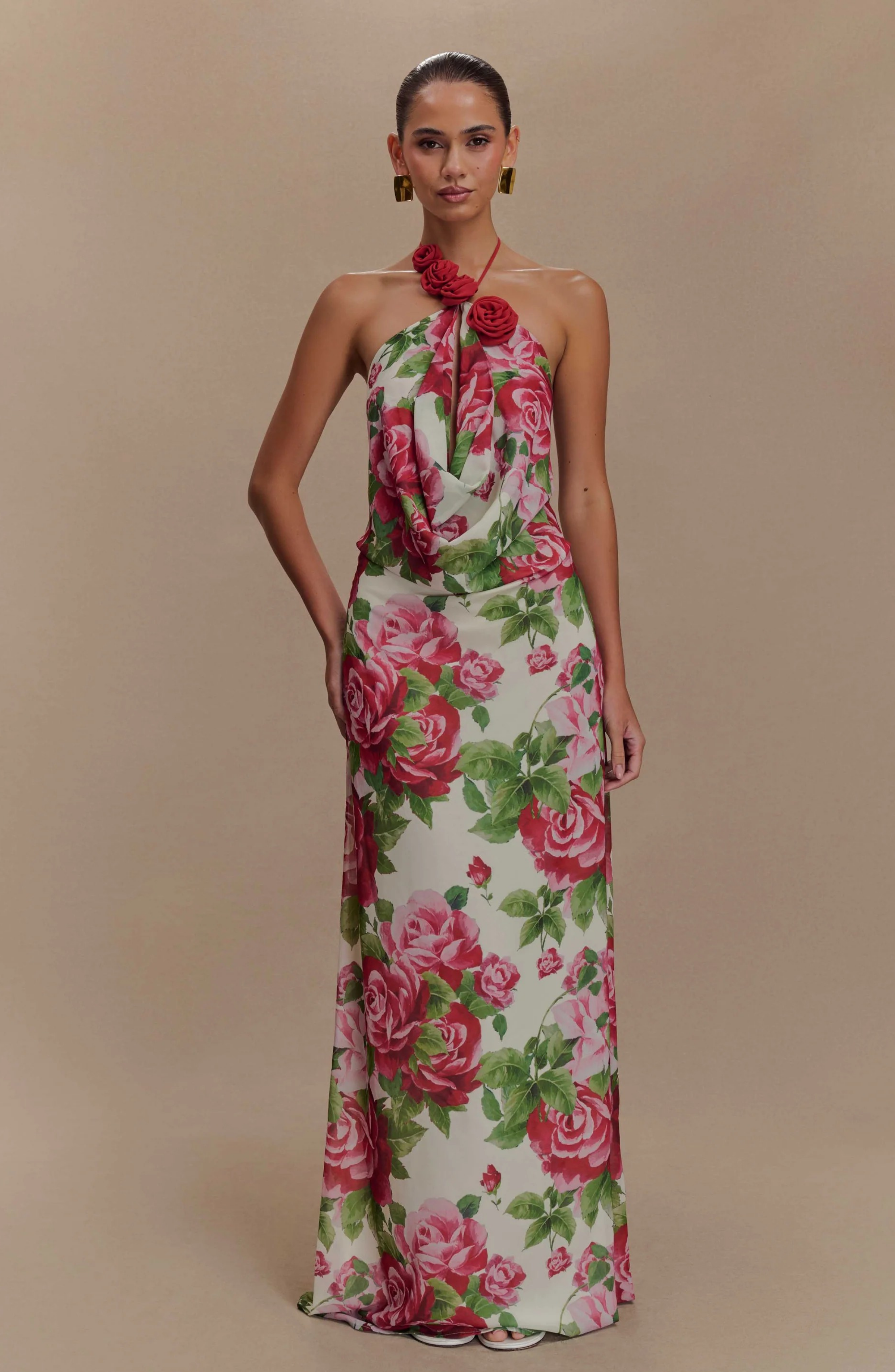 Paris Rose Gown Maxi Dress