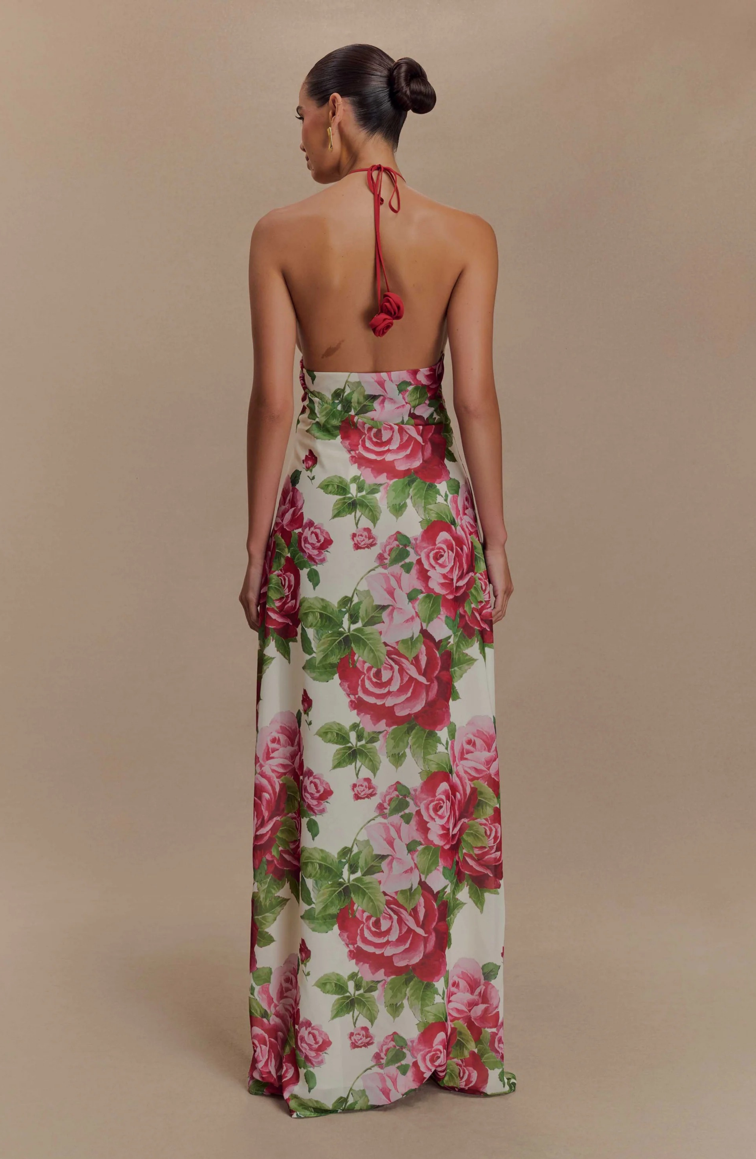 Paris Rose Gown Maxi Dress