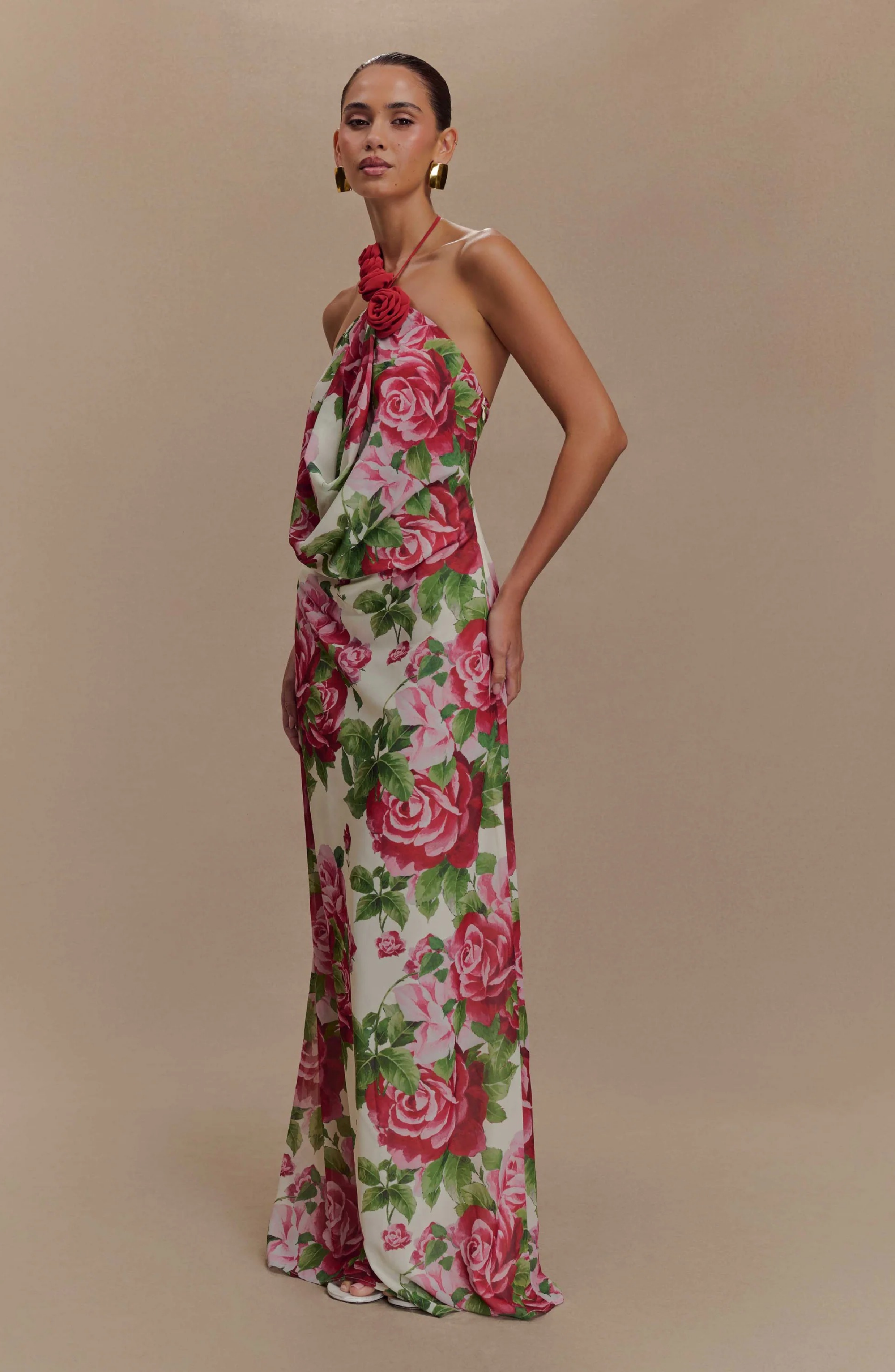 Paris Rose Gown Maxi Dress
