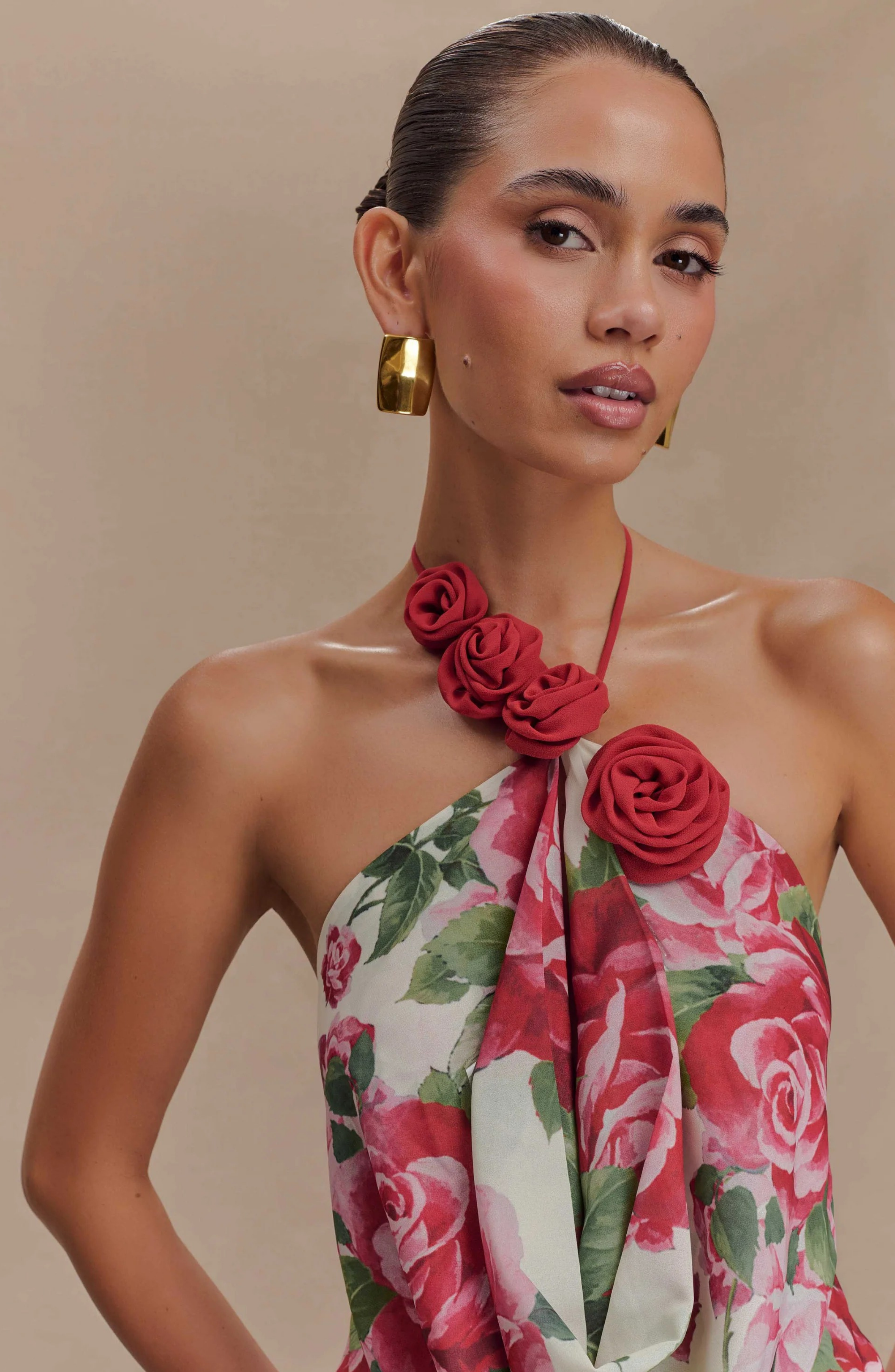 Paris Rose Gown Maxi Dress